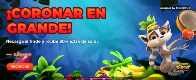 Discover the excitement of the jungle